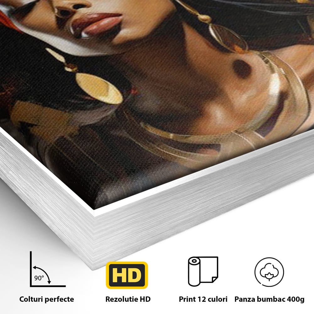 Detaliu al suprafetei: tablou canvas cu femeie si turban, in rama de aluminiu argintiu